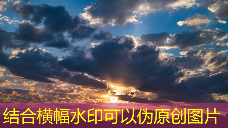 米乐m6官网登录入口为您介绍：警察模拟器游戏3D版